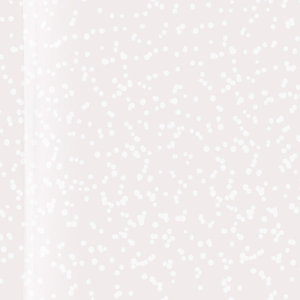 Vision AcrylGel - Glitter 4